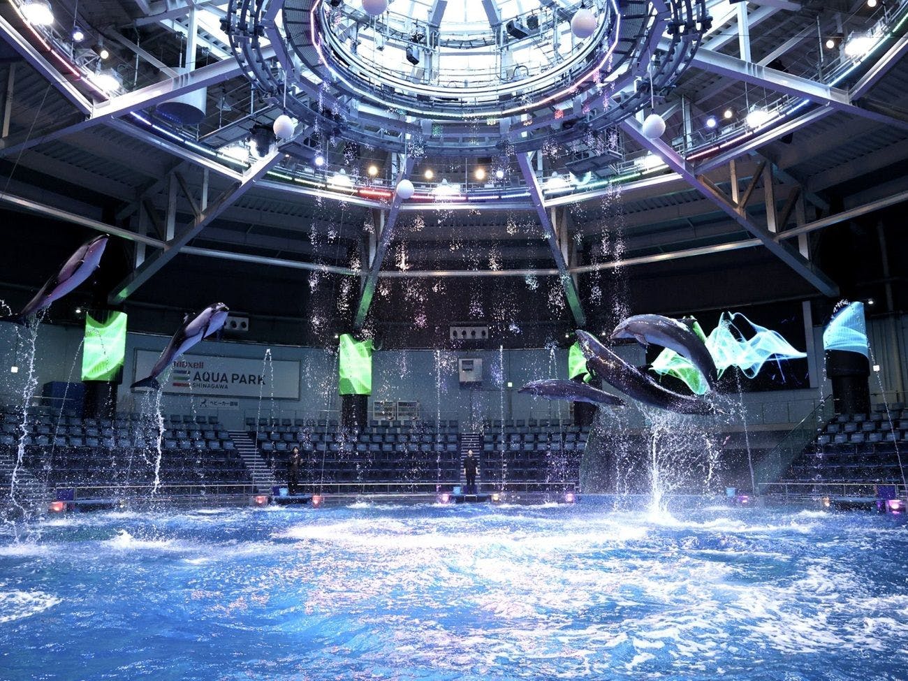 돌고래 퍼포먼스(주간 버전)