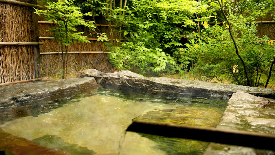 Tezuka Ryokan