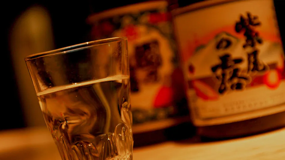 Tezuka Ryokan
