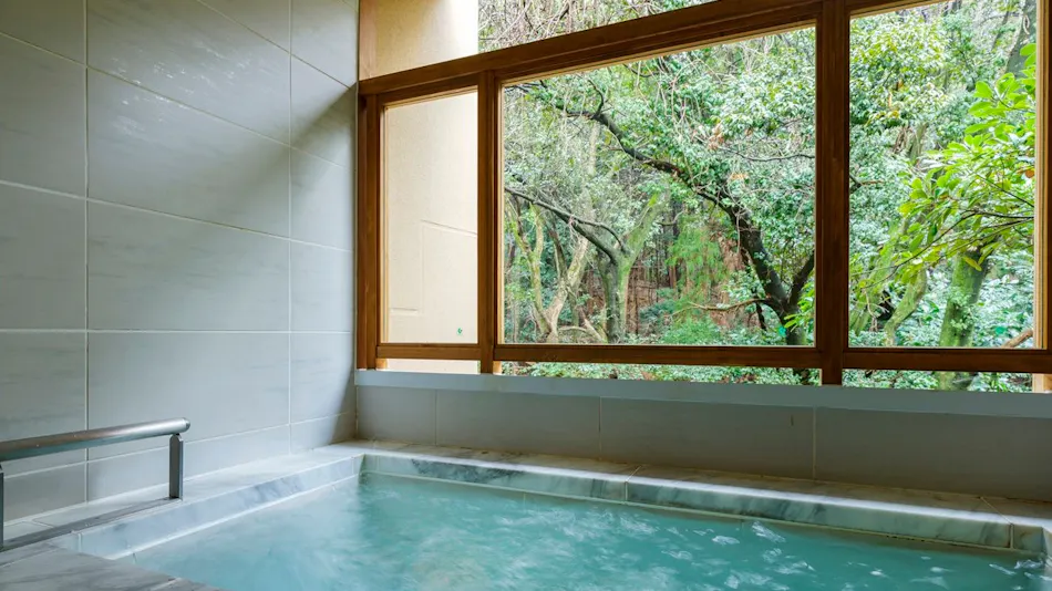 Inishie no Yado Ikyu (Kyoritsu Resort)