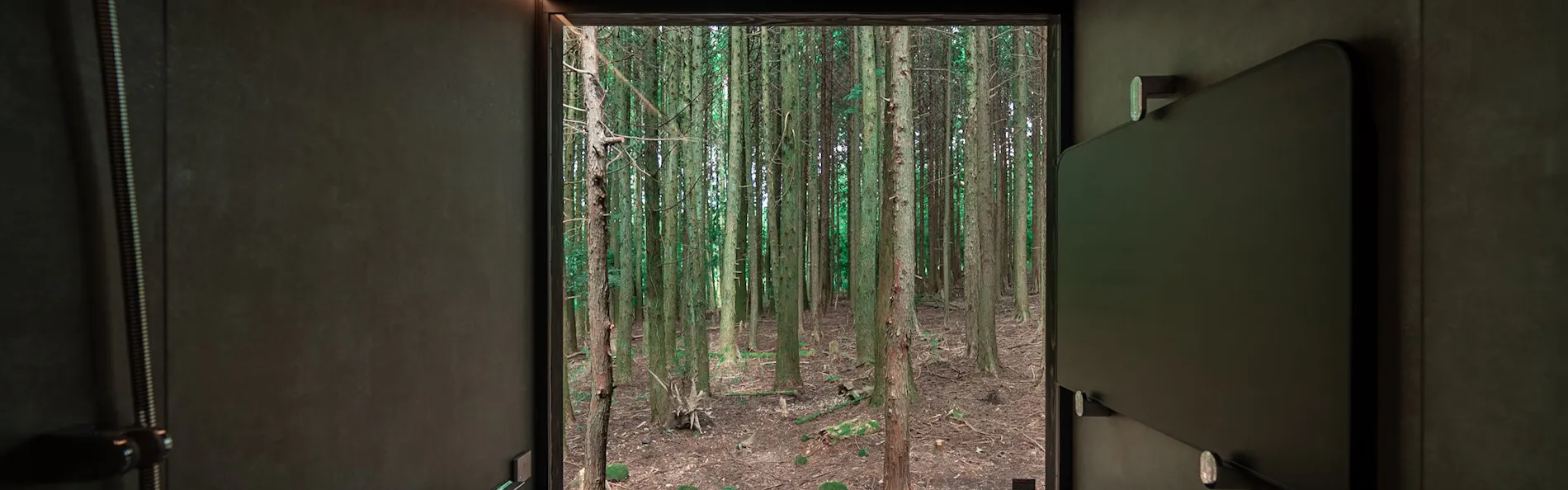 forest inn BORN