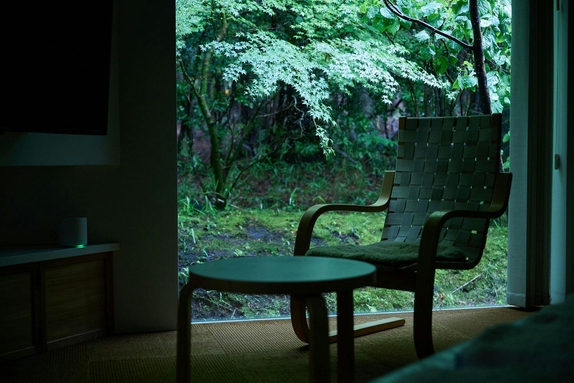 forest inn BORN