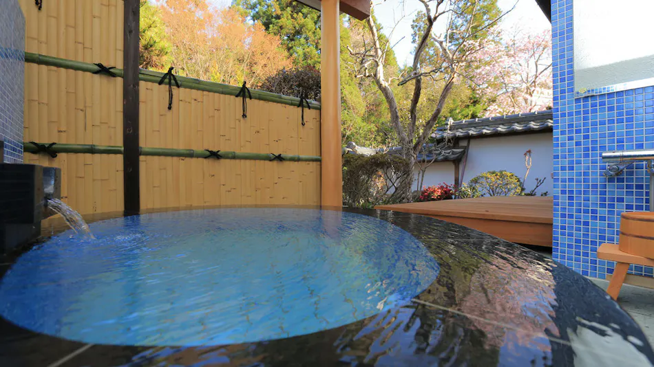 Bessho Onsen Ryokan Hanaya