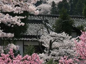 別所温泉　旅館　花屋