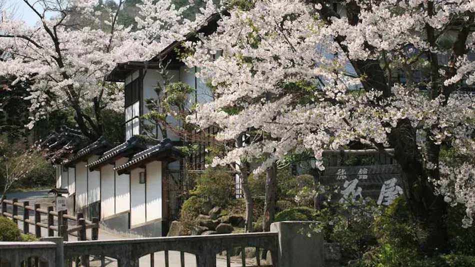Bessho Onsen Ryokan Hanaya