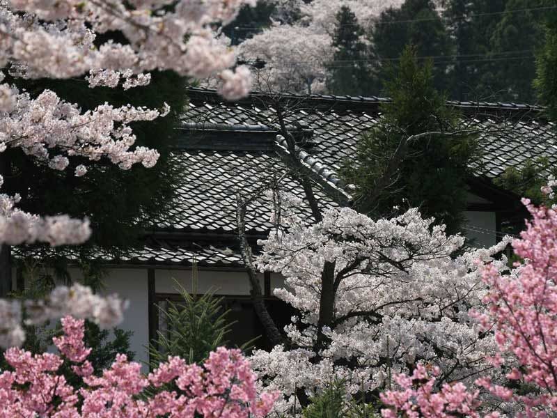 別所温泉　旅館花屋
