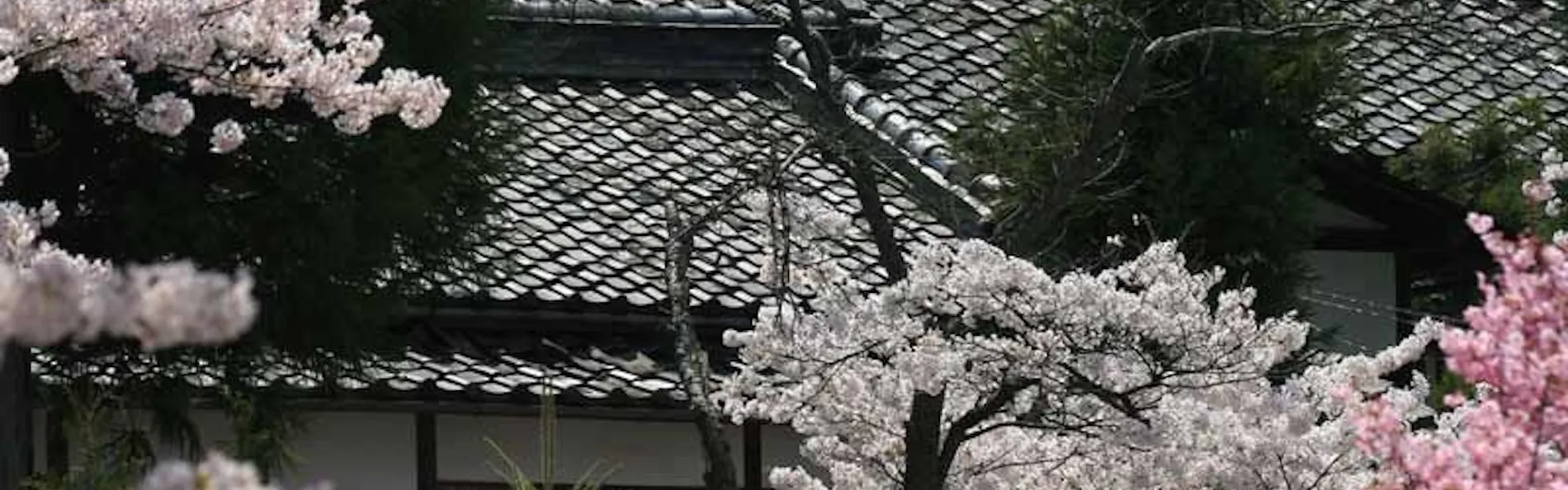 別所温泉 旅館花屋