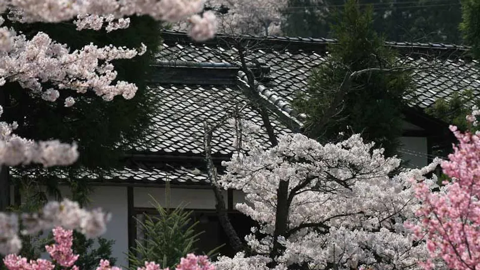 Bessho Onsen Ryokan Hanaya
