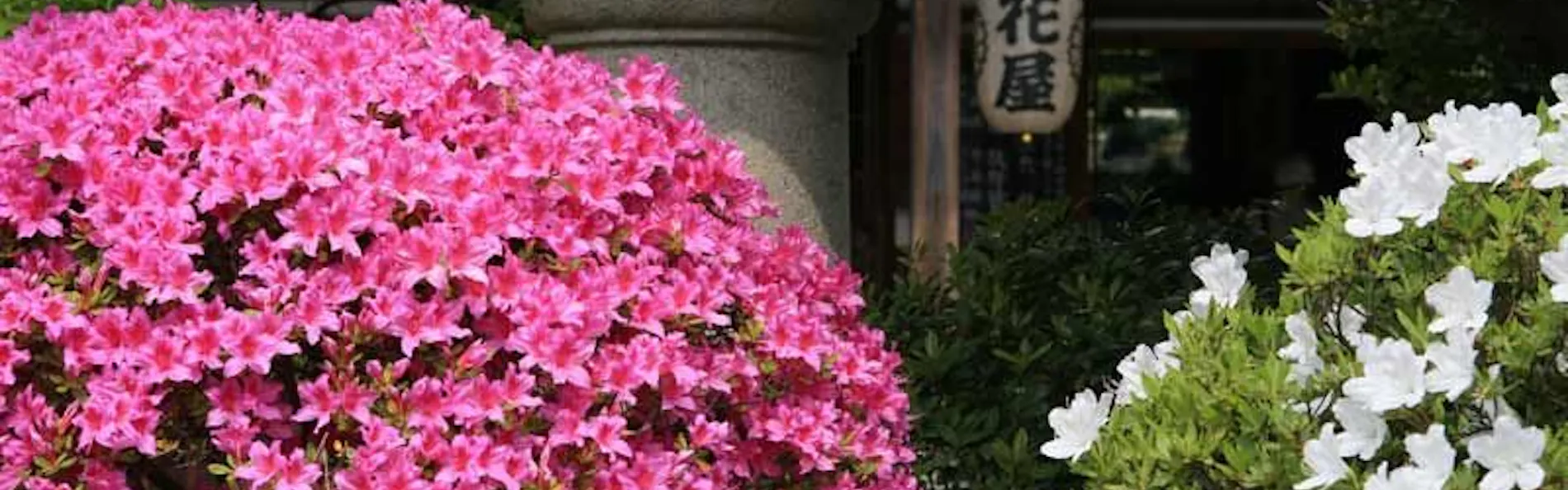 別所温泉 旅館花屋