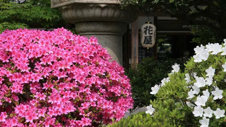 Bessho Onsen Ryokan Hanaya