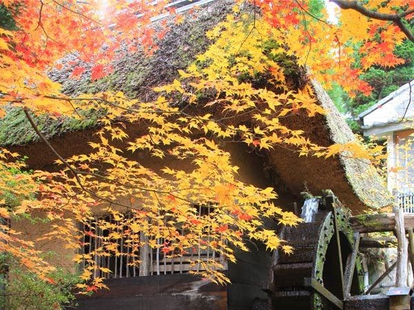 別所温泉　旅館花屋