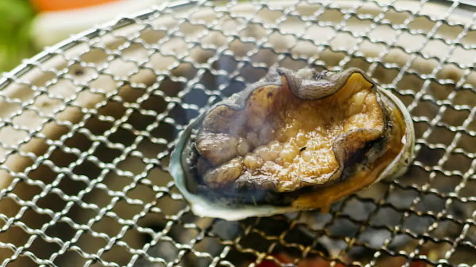 Shiobara Onsen Hito-Toki-Omoi wo Tsumugu Yado Ayatsumugi