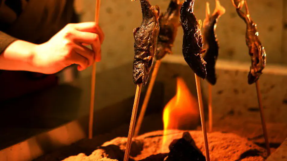 Shiobara Onsen Hito-Toki-Omoi wo Tsumugu Yado Ayatsumugi