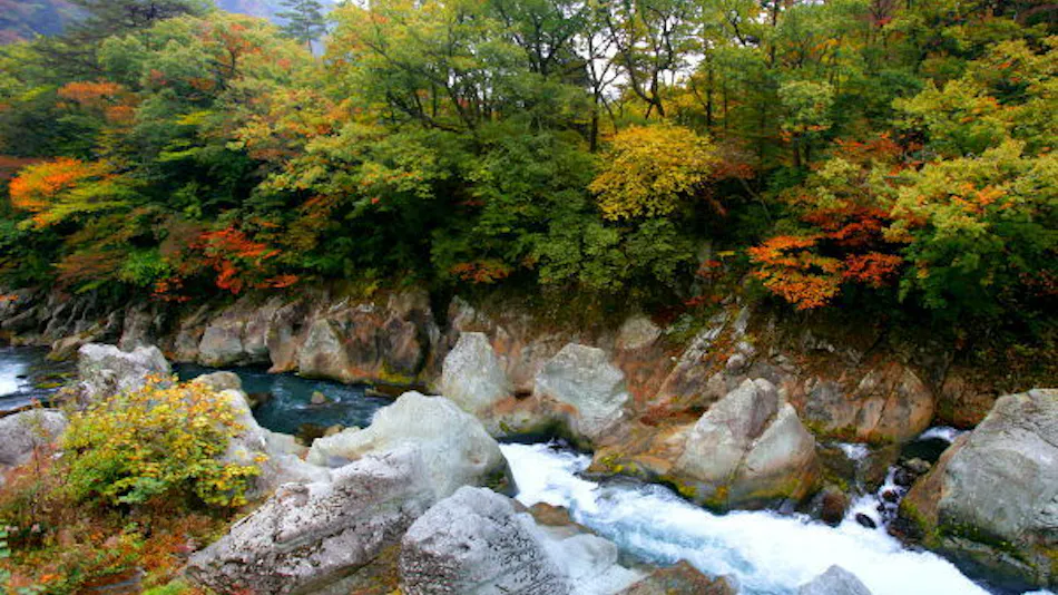 Shiobara Onsen Hito-Toki-Omoi wo Tsumugu Yado Ayatsumugi