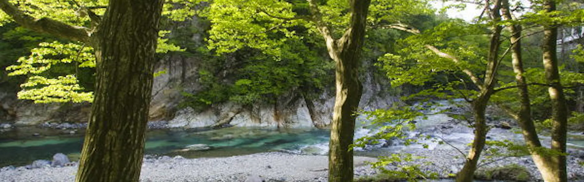 塩原温泉 人・季・想をつむぐ宿 彩つむぎ