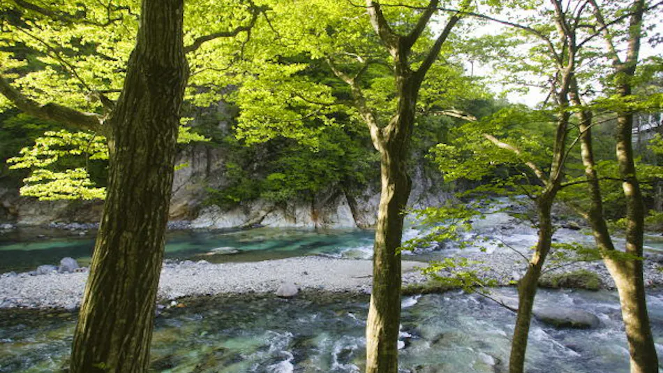 Shiobara Onsen Hito-Toki-Omoi wo Tsumugu Yado Ayatsumugi
