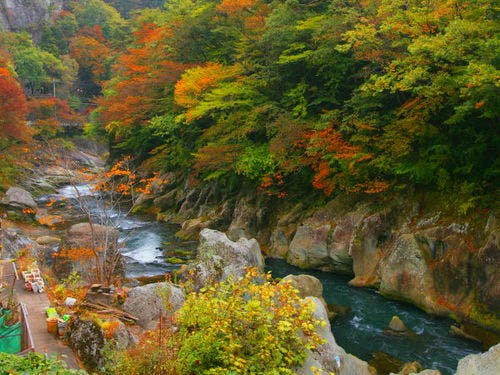 ■風景イメージ■