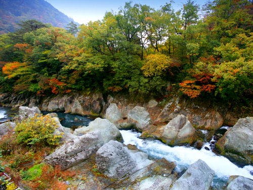 ■風景イメージ■