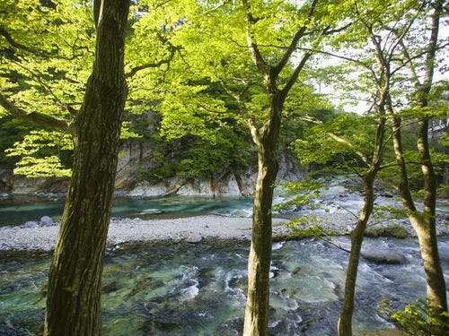 ■景色イメージ■