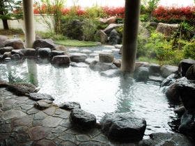 桜ヶ池クアガーデン