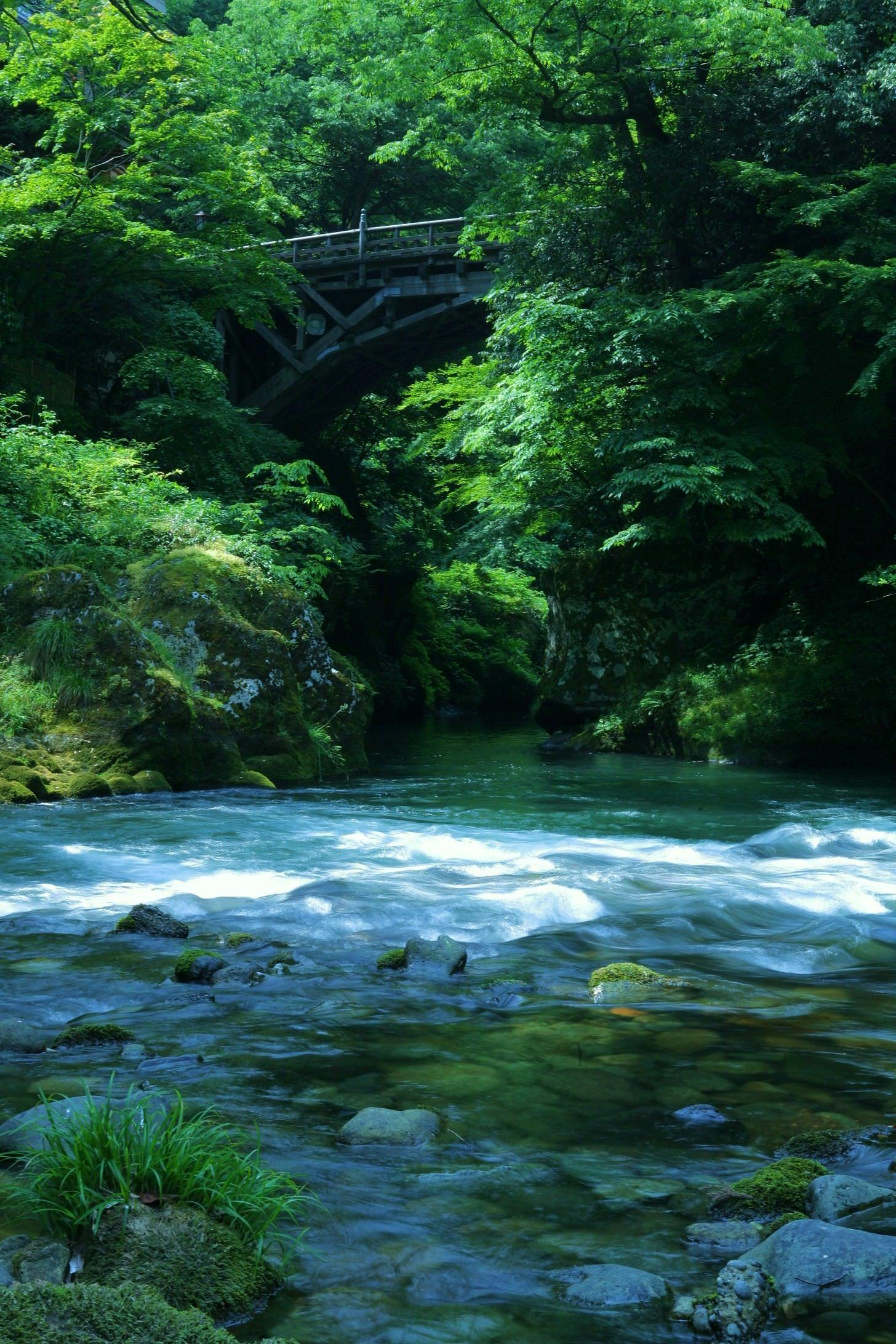 ความเขียวขจีและหุบเขา