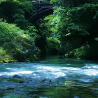 ความเขียวขจีและหุบเขา