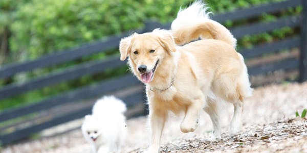 22年最新 ダイブハウス富戸周辺でペットと泊まれる宿ランキング 一休 Com 22年最新 ダイブハウス富戸周辺でペットと泊まれる宿ランキング 一休 Com