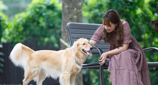 【スタンダード】愛犬と過ごす 1泊2食+ご夕食飲み放題 貸切風呂・グルーミング・お夜食など無料満載