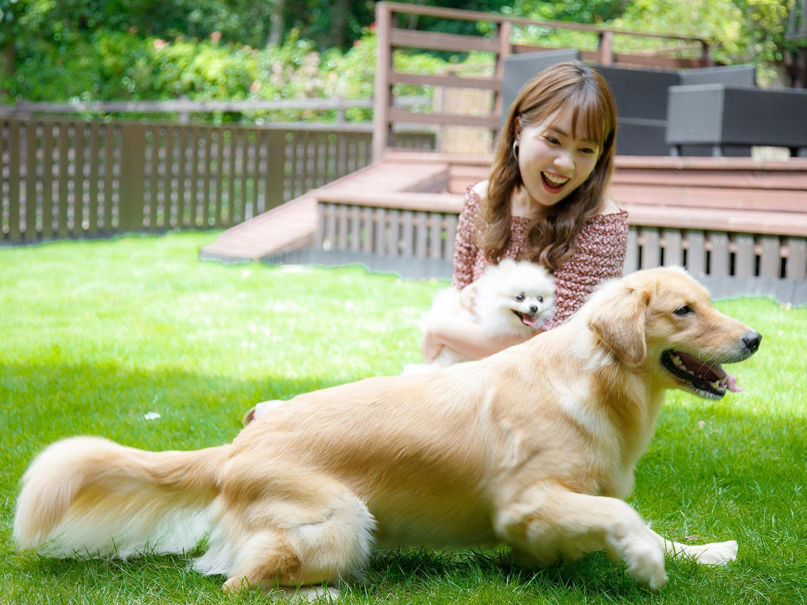 ウブドの森　伊豆高原