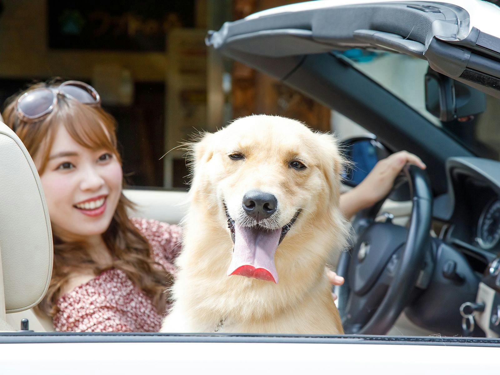 ウブドの森　伊豆高原