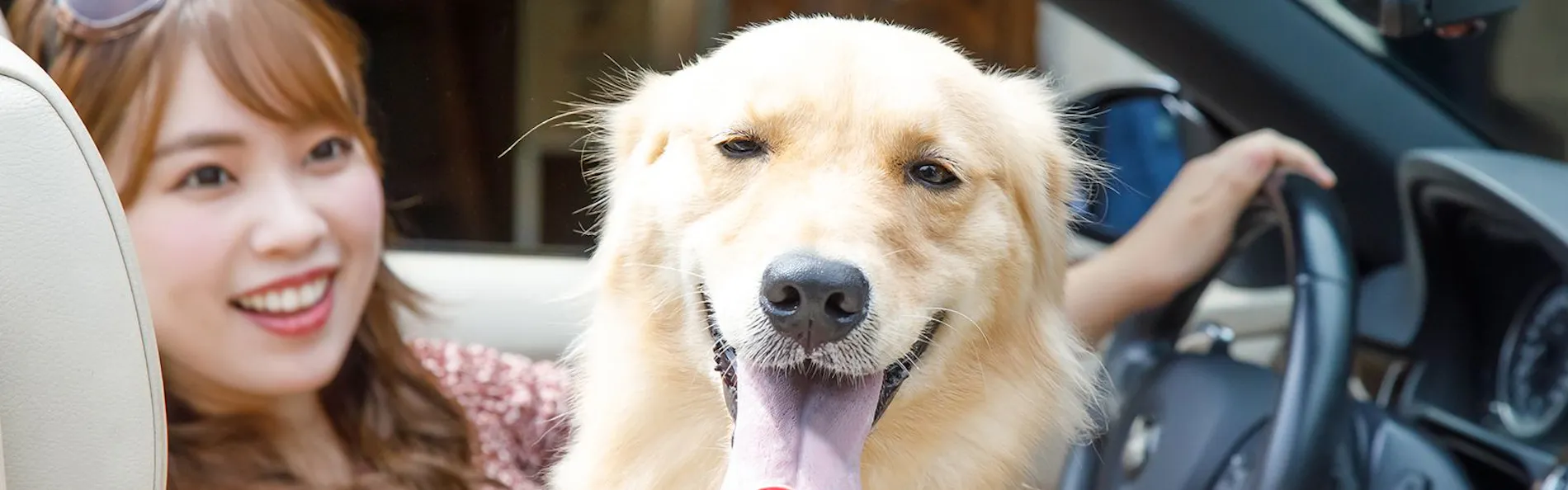 ウブドの森 伊豆高原
