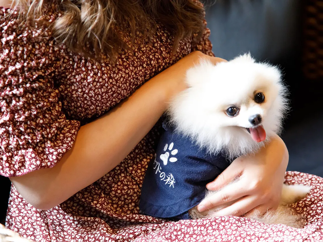 愛犬と飼い主さんおそろいの作務衣