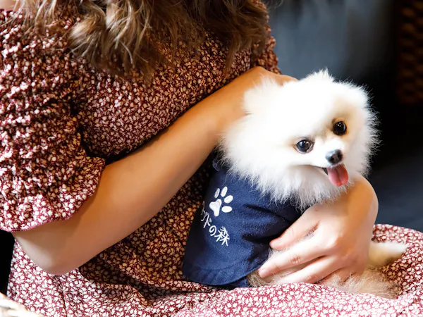 愛犬と飼い主さんおそろいの作務衣