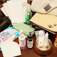 提供完善的寵物狗設施。