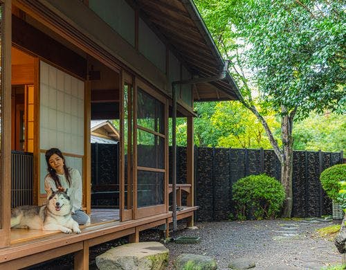 離れ家夜のお庭の風景