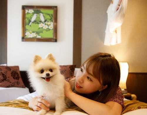 バリ風洋室の寝室