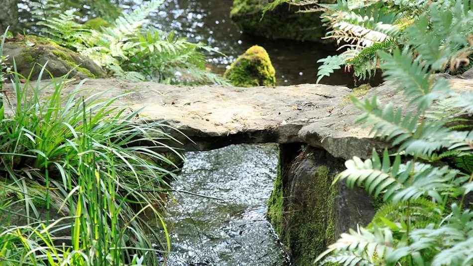 Ubud Forest Izu Kogen