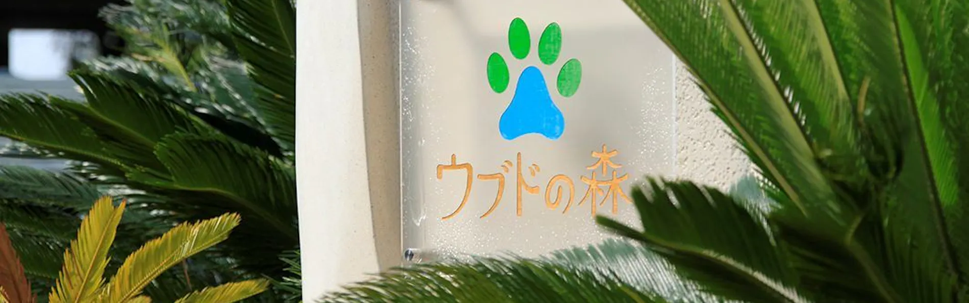 ウブドの森 伊豆高原