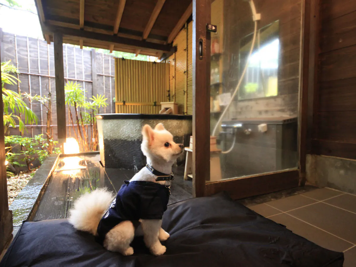 ウブドの森 伊豆高原