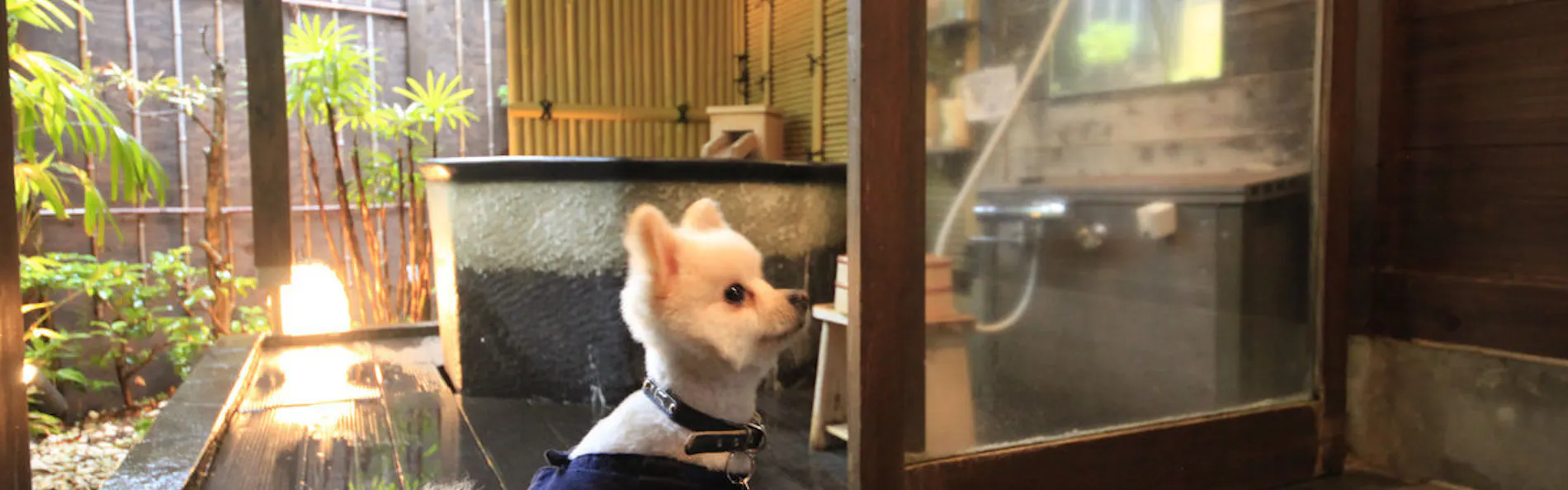 ウブドの森 伊豆高原