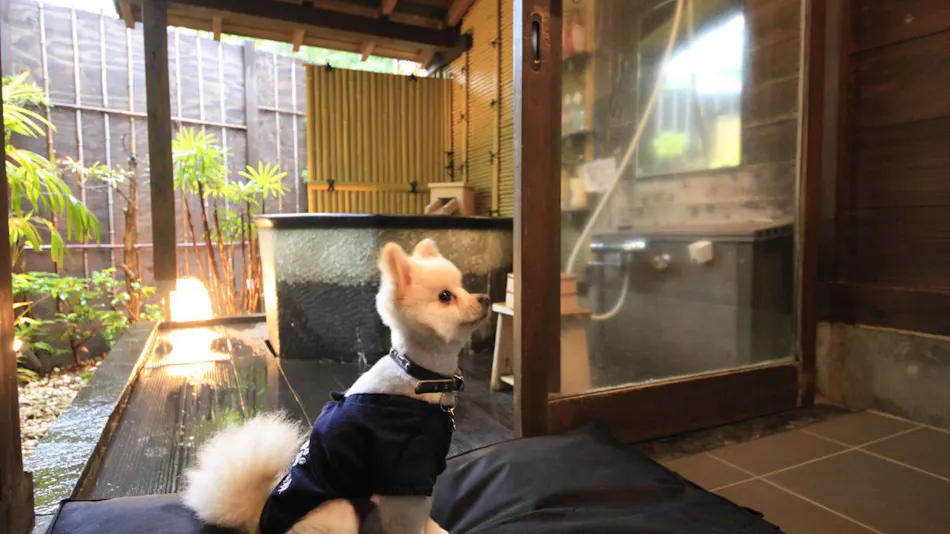Ubud Forest Izu Kogen