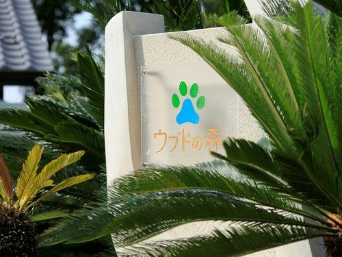 バリの石彫り職人による特注の水流