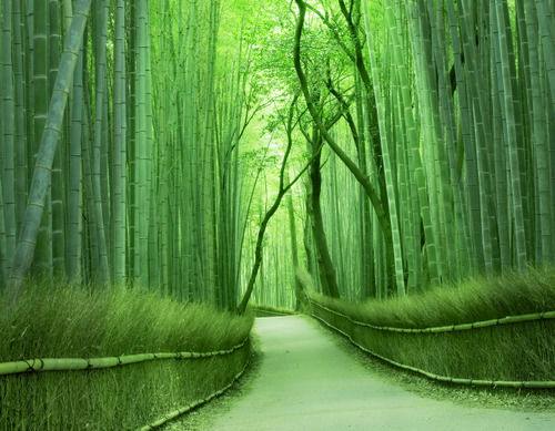 【お部屋のみ】嵐山の絶景を眺めながらの快適なステイ