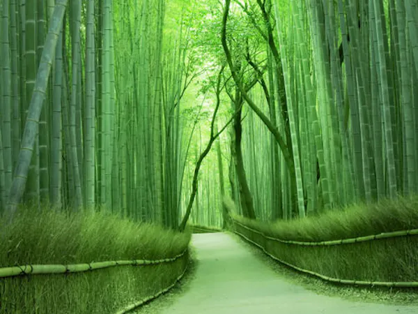 【お部屋のみ】嵐山の絶景を眺めながらの快適なステイ