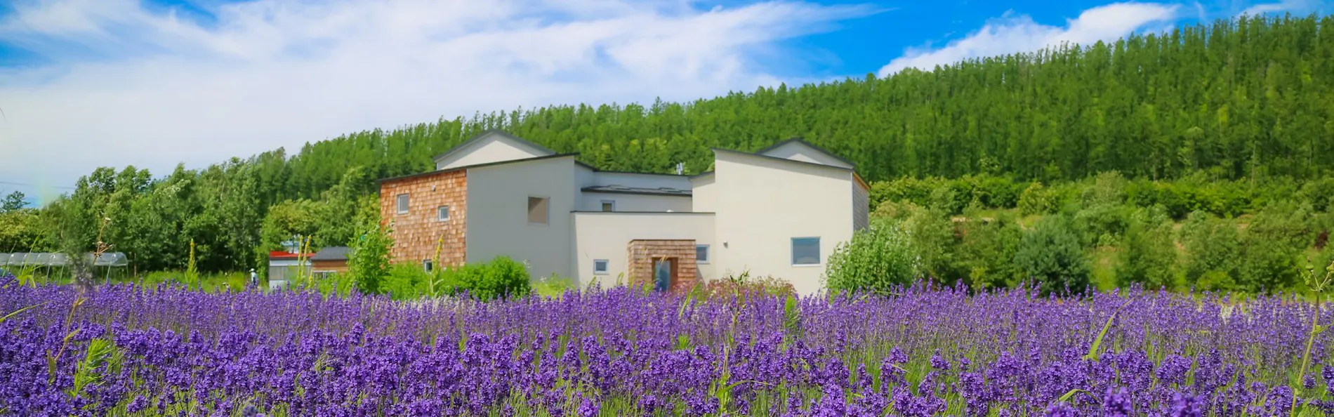 Auberge erba stella(オーベルジュ エルバステラ)