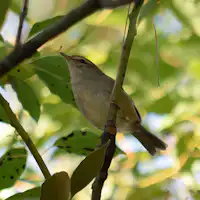 【Awal Musim Panas・Di Dalam Fasilitas】