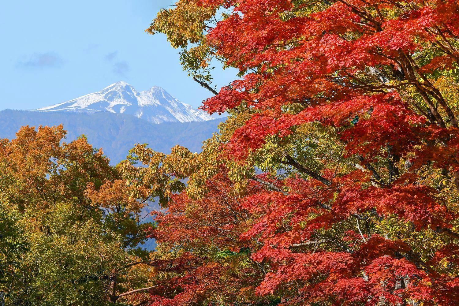 自家源泉100％かけ流し 高山龍神温泉 龍リゾート＆スパ