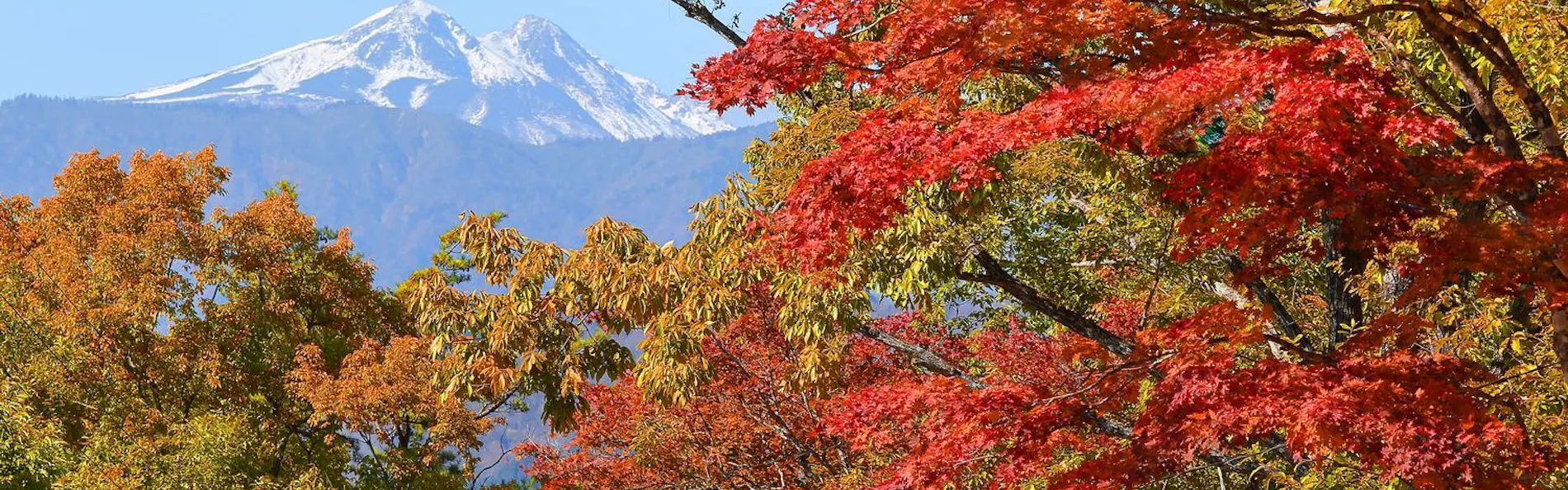 自家源泉100%かけ流し 高山龍神温泉 龍リゾート&スパ