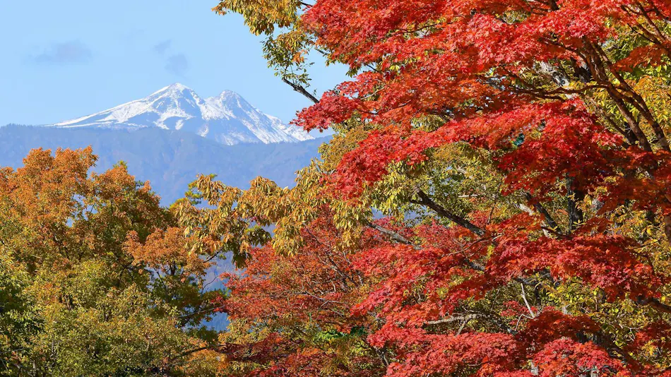 Jikagen-sen 100% Kakenagashi Takayama Ryujin Onsen Ryu Resort & Spa