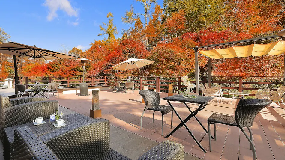 Jikagen-sen 100% Kakenagashi Takayama Ryujin Onsen Ryu Resort & Spa